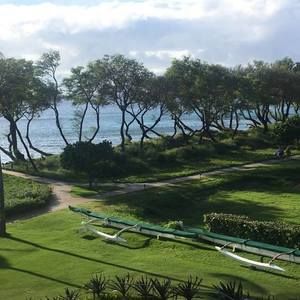 Meet your Posher, Nita